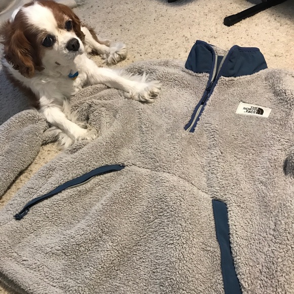 The North Face Other - North Face Campshire Pullover